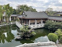 IMG_0344