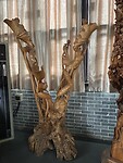 IMG_0350
