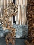 IMG_0348