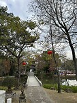 IMG_0354