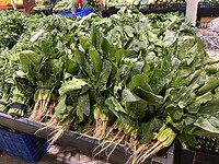 IMG_0518