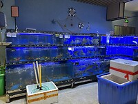 IMG_0519