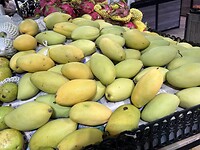 IMG_0522