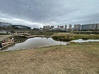 IMG_3403