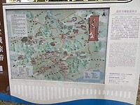 IMG_3404