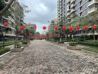 IMG_3447