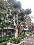 IMG_3449