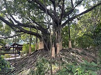 IMG_3584