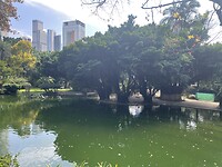 IMG_3591