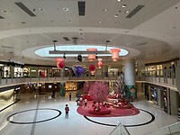 IMG_0872