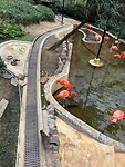IMG_0975