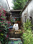DSC07455
