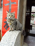 DSC07461