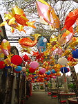 DSC07497