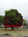 DSC07506