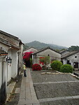 DSC07514