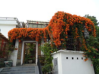 DSC07584