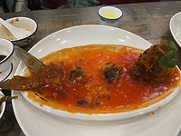 IMG_4571