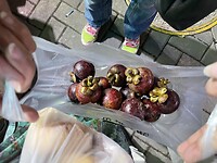 IMG_4578