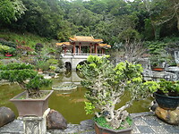DSC07709