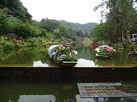 DSC07606