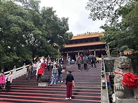 IMG_1617