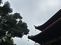 IMG_1618