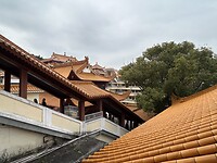 IMG_1628