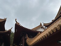 IMG_1630