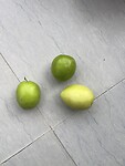 IMG_4801