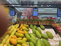 IMG_4809