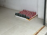 IMG_1704