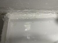 IMG_5073