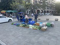 IMG_5230