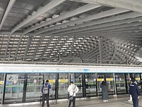 IMG_6154