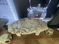 IMG_6174