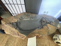 IMG_6175