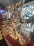 IMG_6176