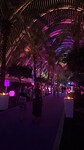 Club Mya