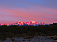 IMG_4127