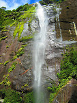 milford sound