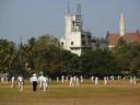 Overal cricket in India