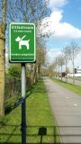 Erg blij met het Amsterdamse vondelpark waar honden overal los mogen rondlopen
