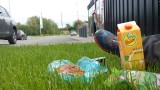 Tussendoor picknick op het gras bij een supermarkt