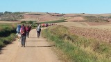 Drukte op de camino Frances