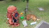 Auto ingeleverd in Irun, Hoe krijg ik dit in hemelsnaam weer mee