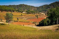 11. Rondom Kalaw