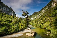 12. Pororari Rivier