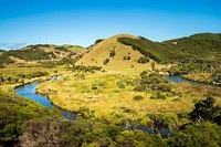 21. Green Hills Track