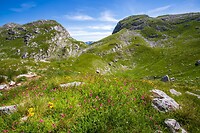 20..Durmitor